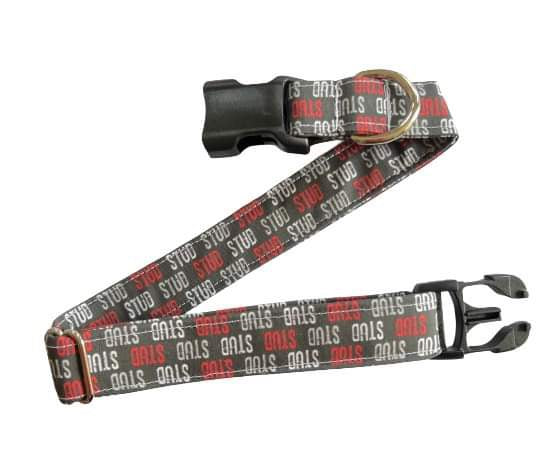 Red and Black Stud Collar