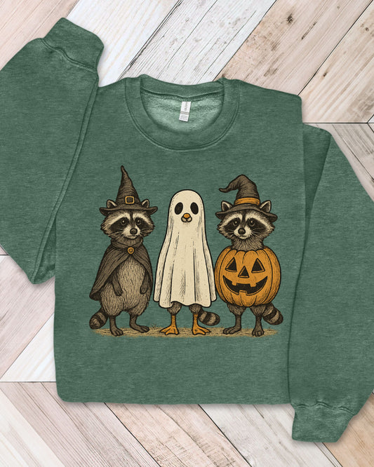 Raccoon Halloween Friends